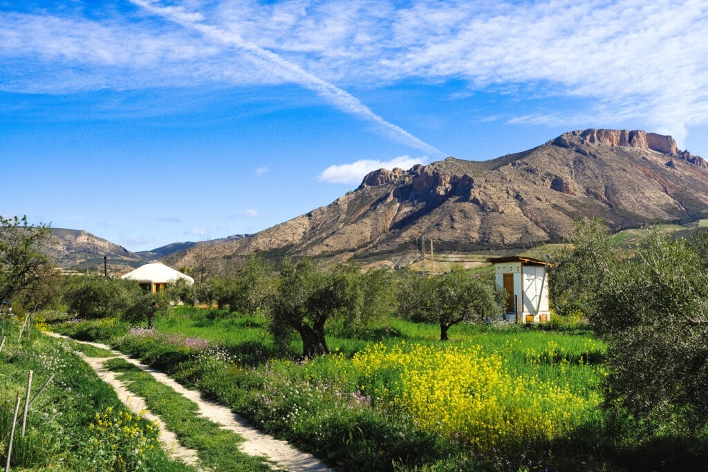 Permacultura Los Velez