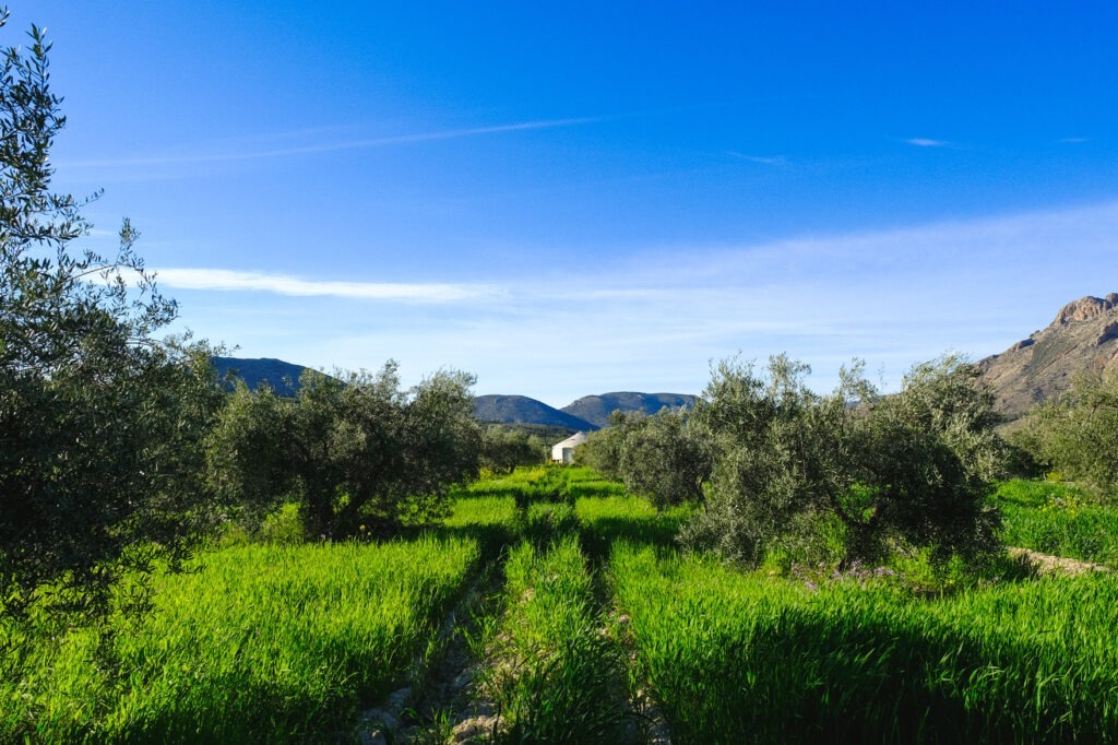Finca de Permacultura Los Velez